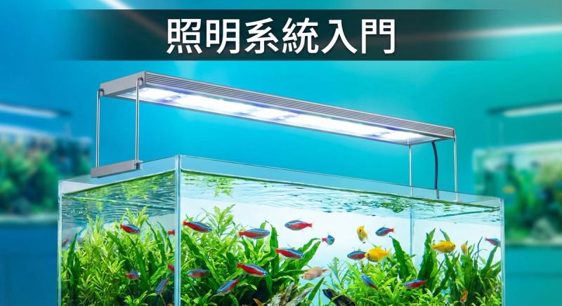 魚缸照明系統入門:從基礎照明到水草燈選擇