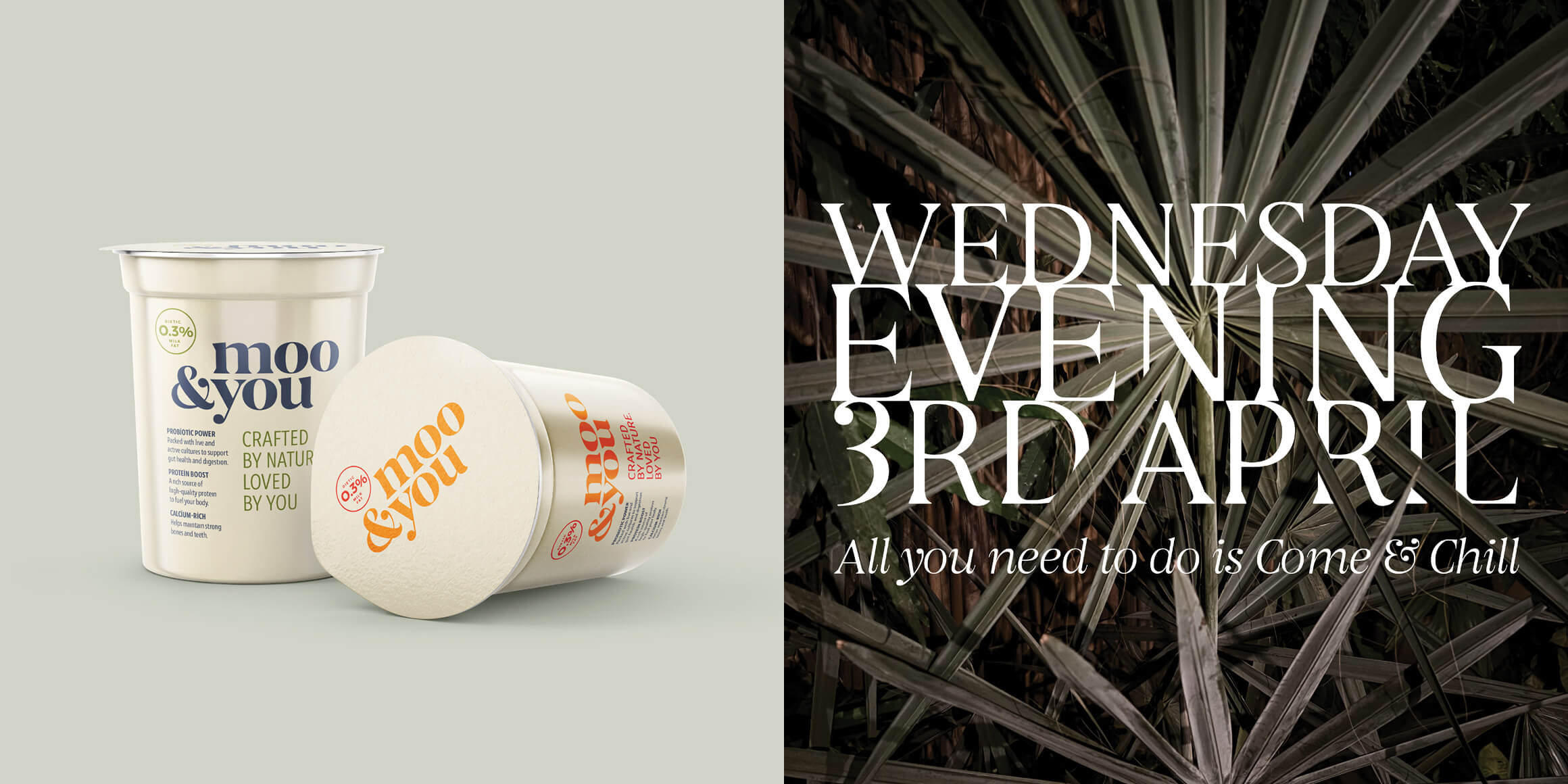 Fragilis Display - Image 5