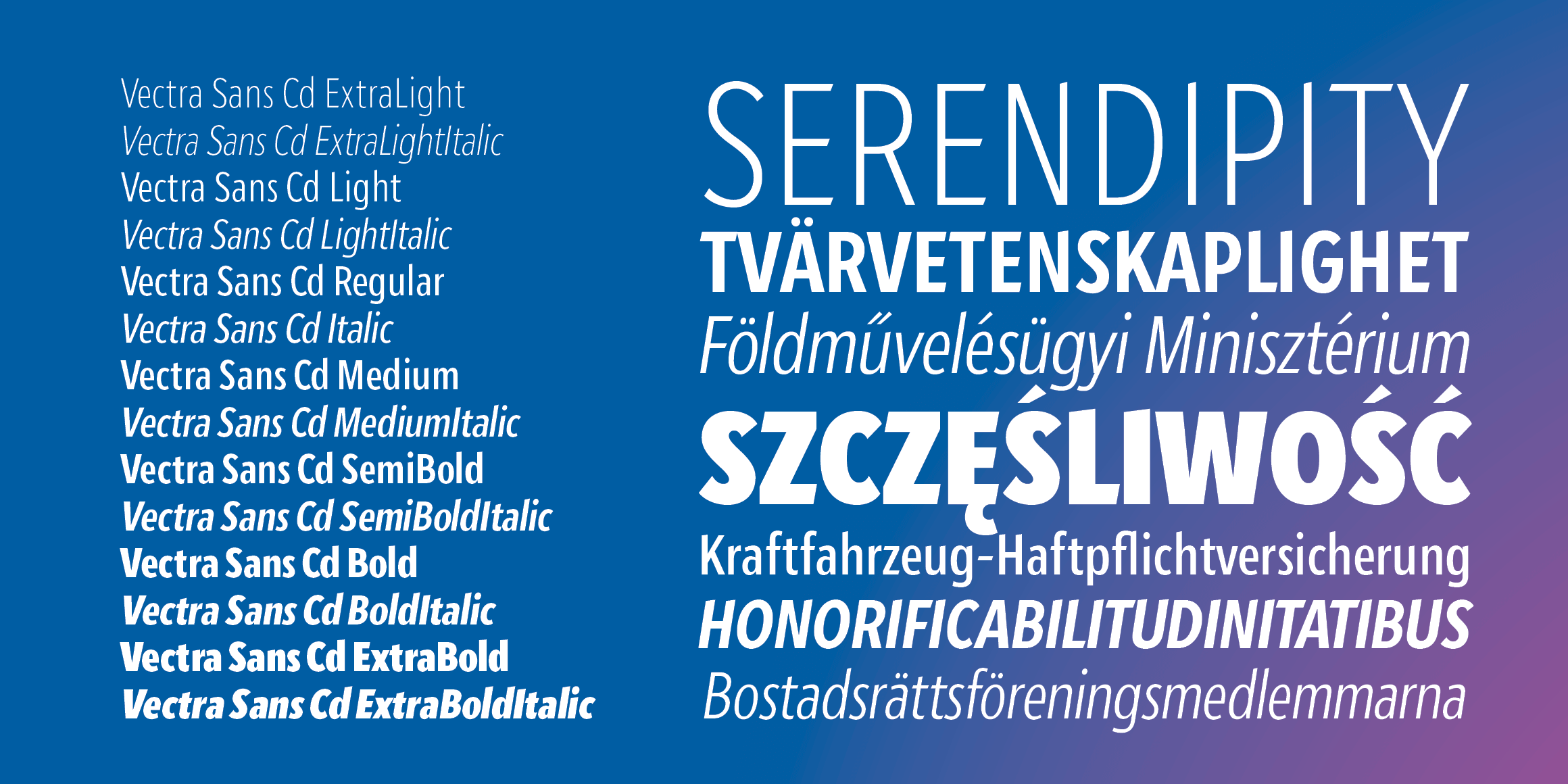 Vectra Sans Condensed - Image 2