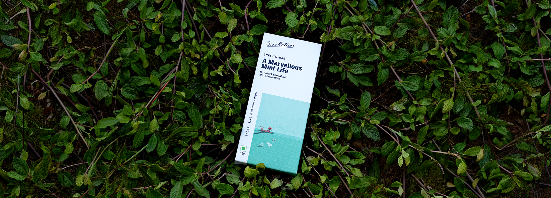 The Bon-Fiction Story - Image 3