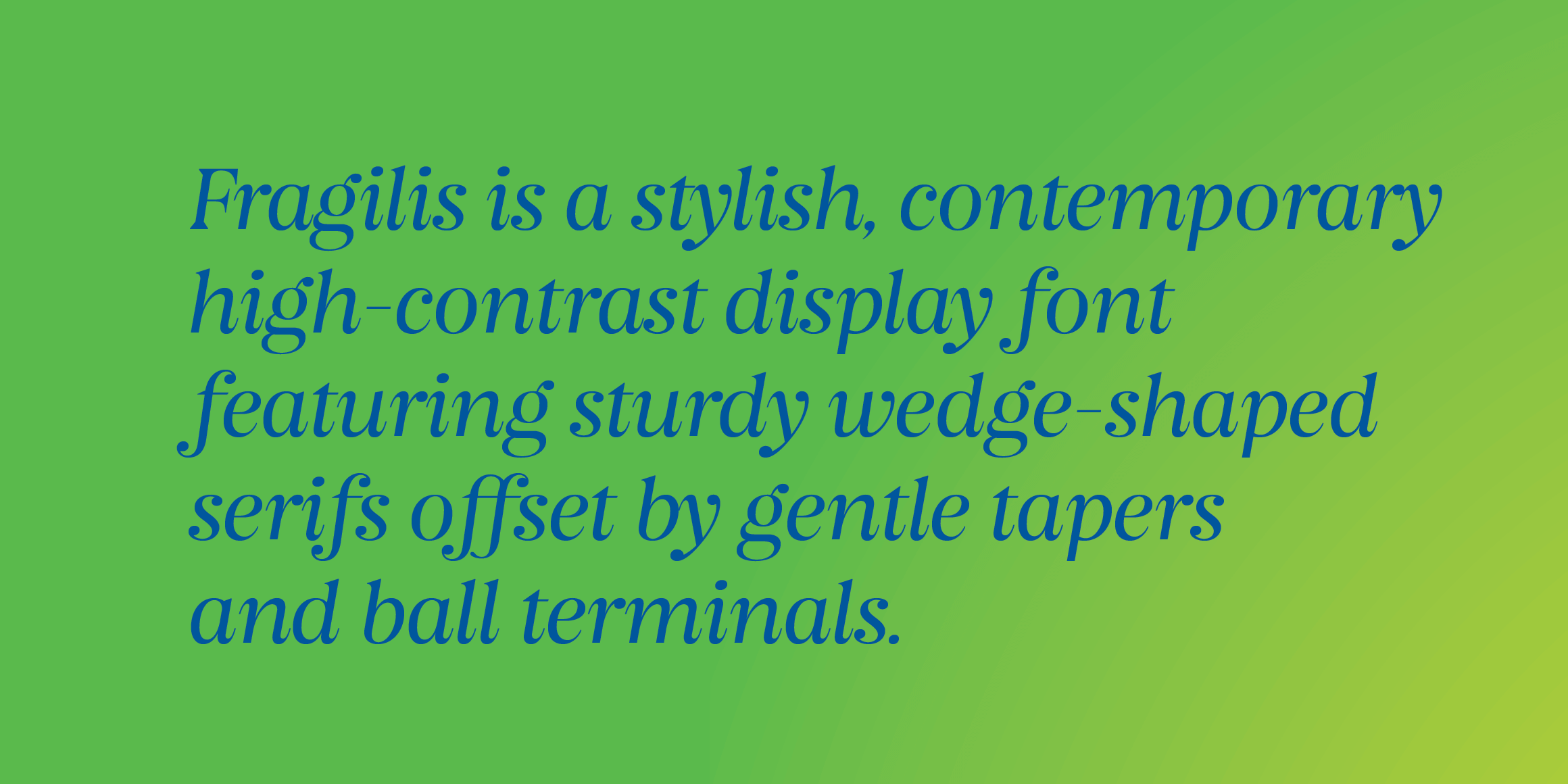 Fragilis Display - Image 2