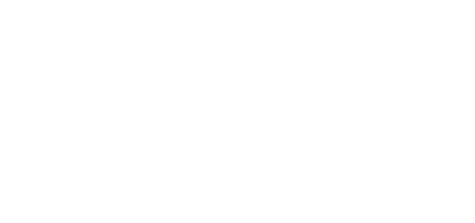 Klaviyo Master Gold partner badge