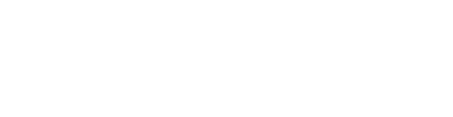 TikTok Marketing Partner partner badge