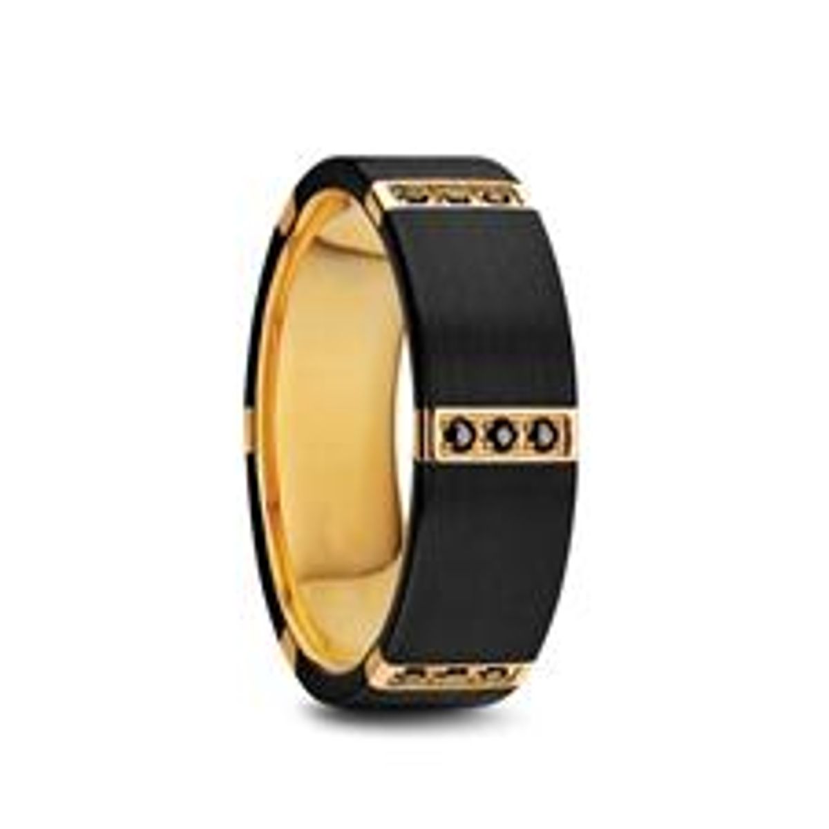 Black Titanium Men's Band