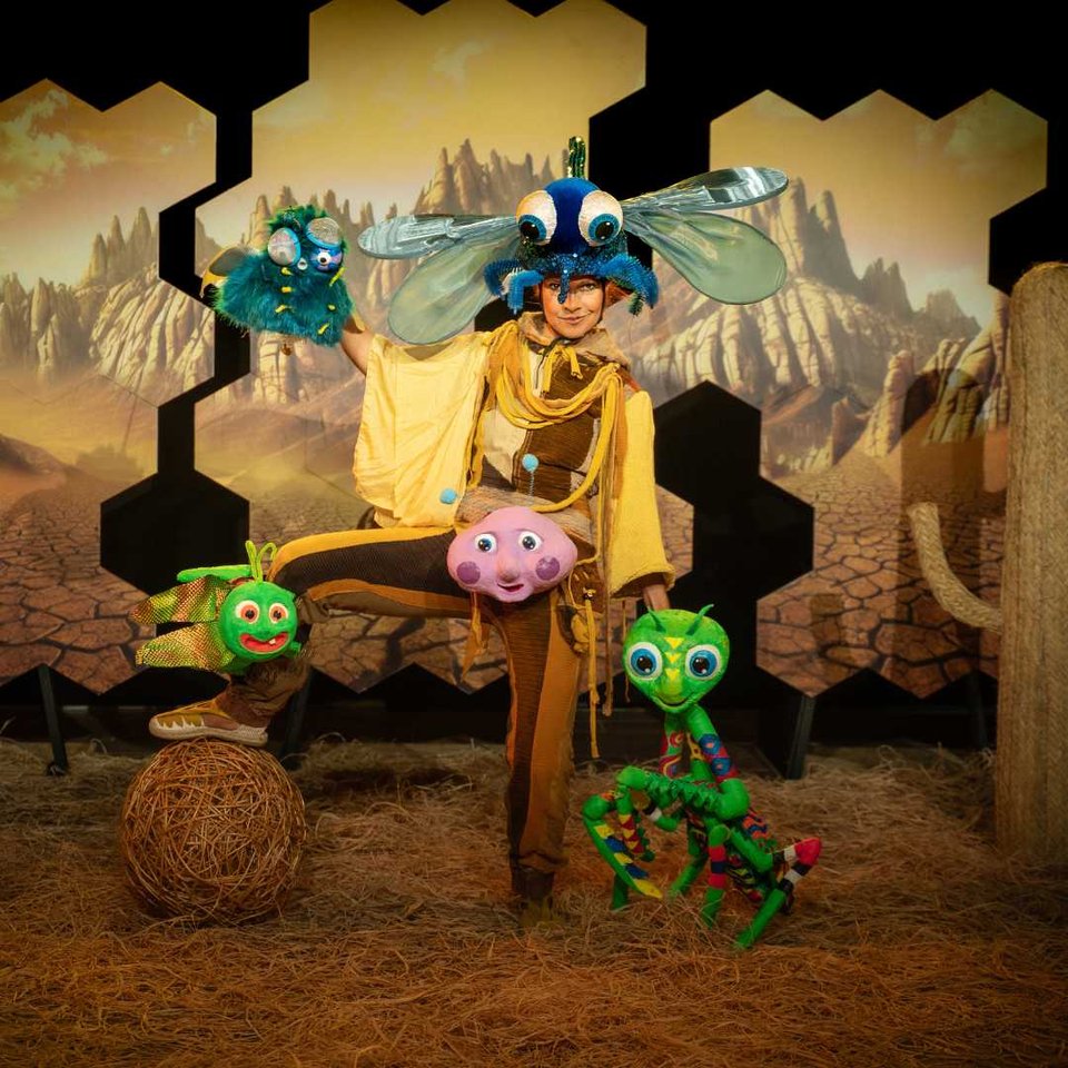 MOTEL D'INSECTES