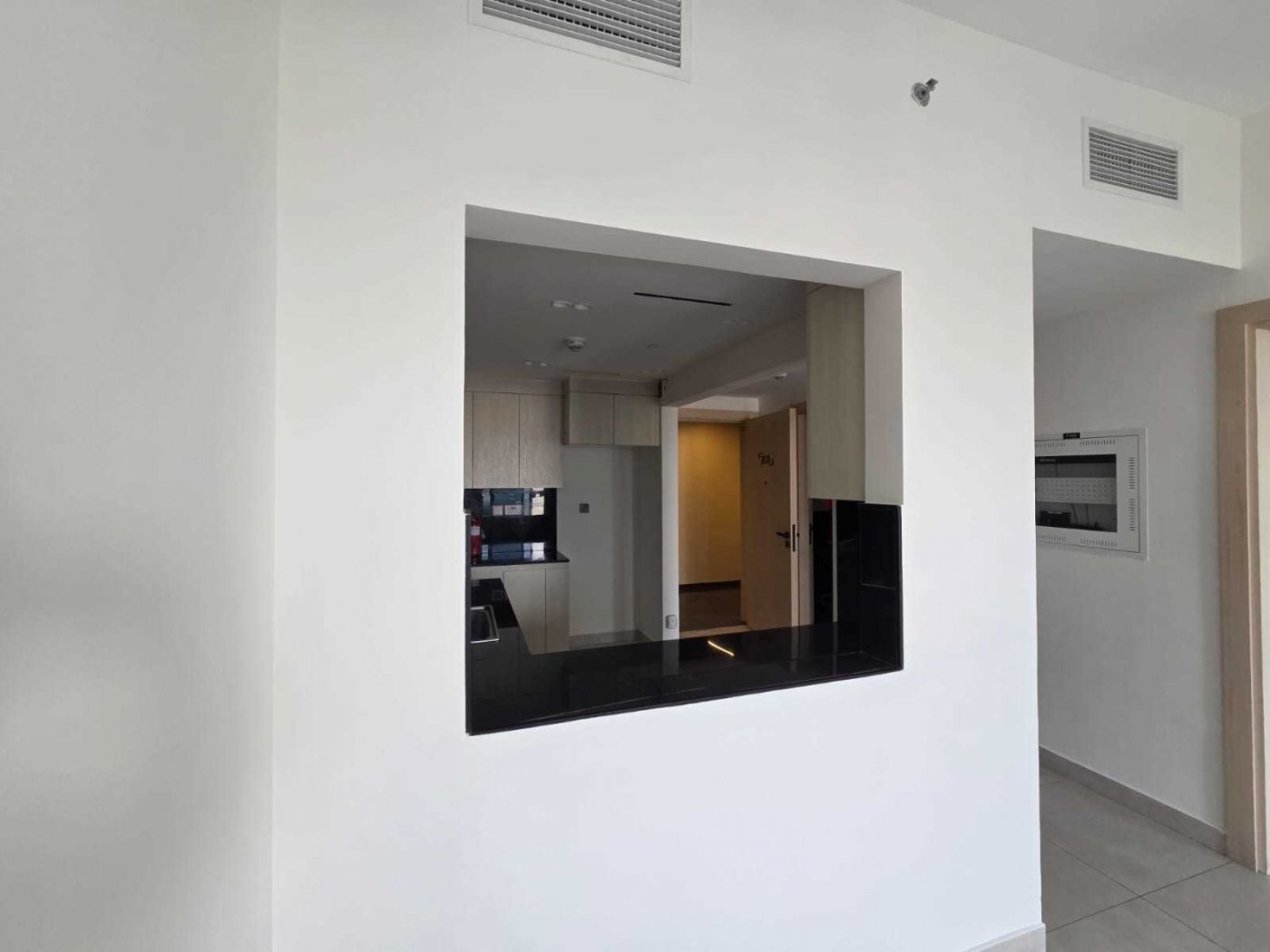 Image1