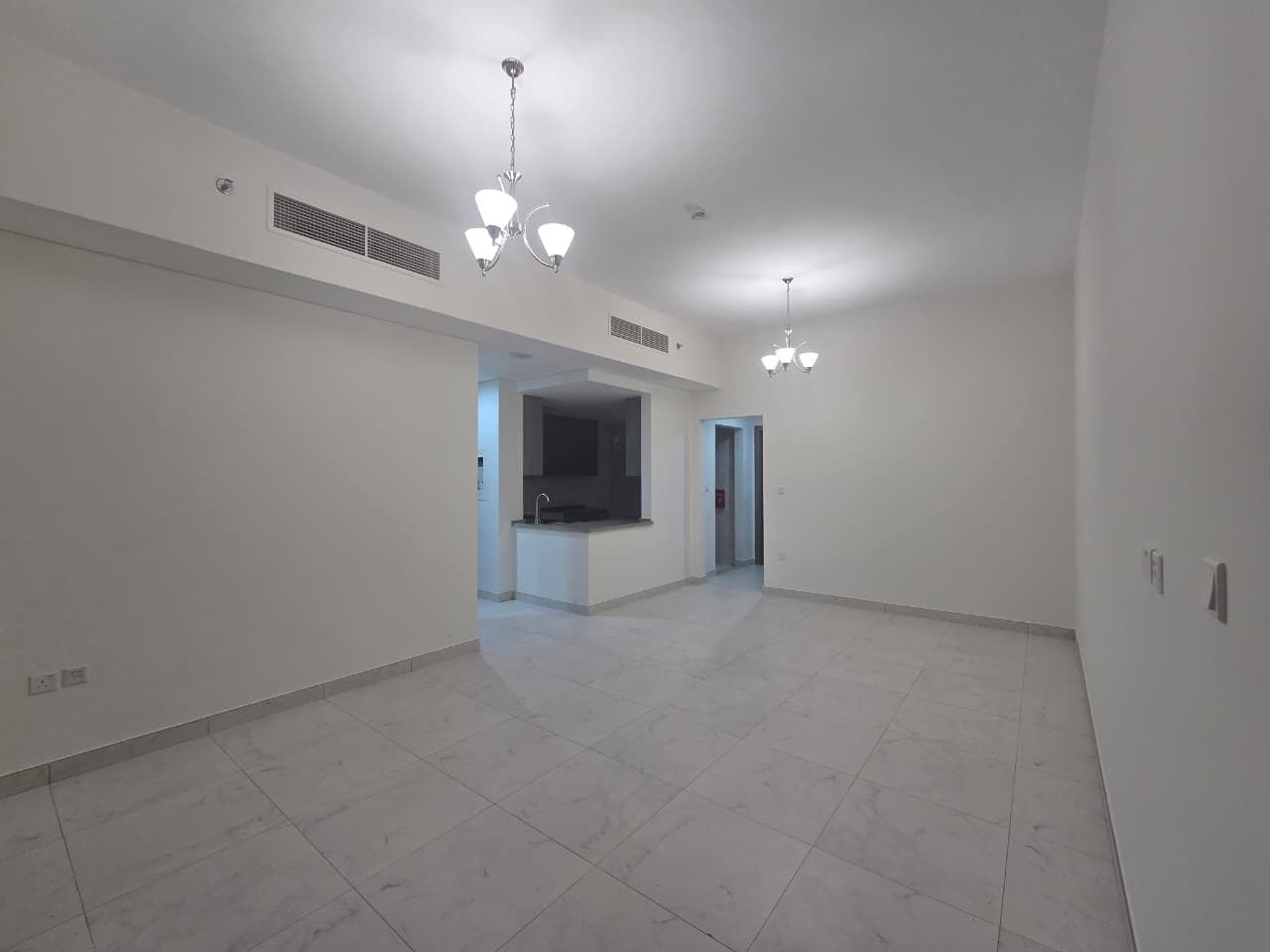Image1