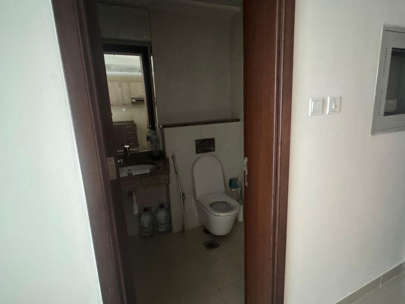 Image1