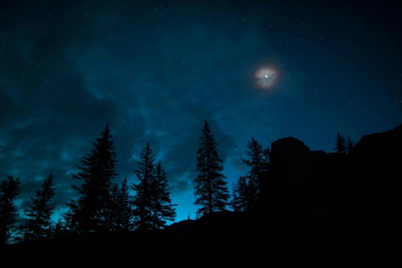 თბილისი