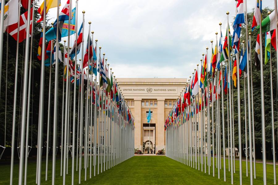 Two lines of flag poles displaying flags of UN member states at the Palais des Nations (Mathias P.R. Reding/Unsplash)  