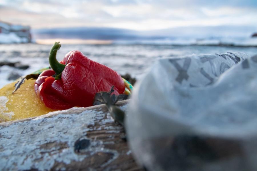 “I Norge kastes 450 000 tonn spiselig mat hvert år" (Elev, Vardø vgs)