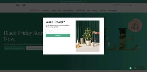 image of The Sill | Official Site | House Plant Delivery & Biophilic Design