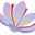 icon of Yaqoot Saffron