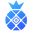 icon of iPollo Store