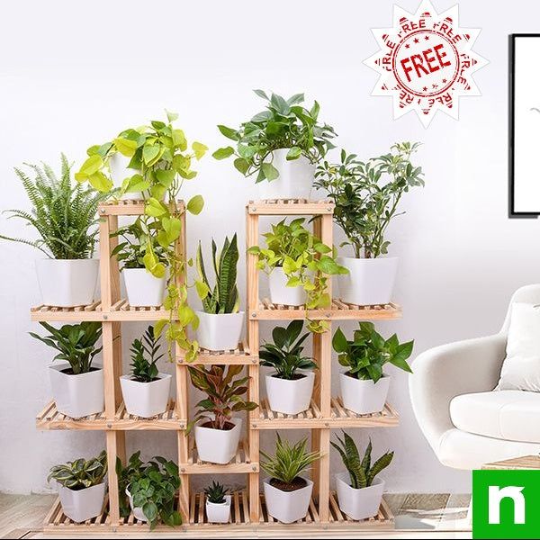 image for Nurserylive