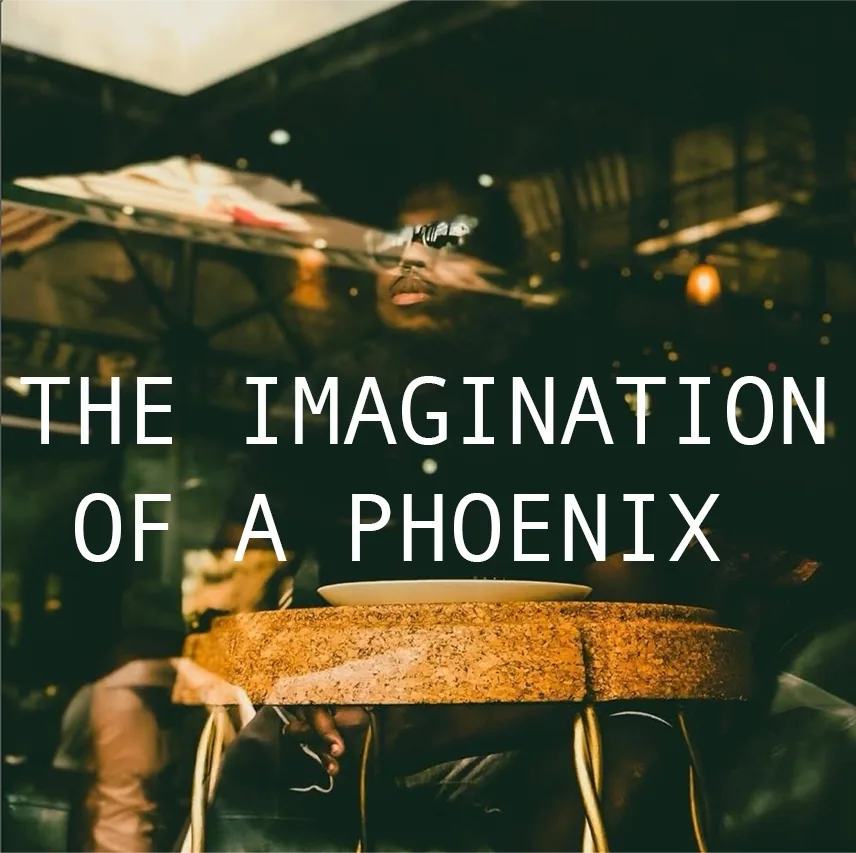 The Imagination of a Phoenix