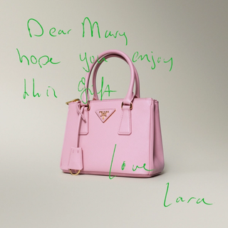 2 bag.png