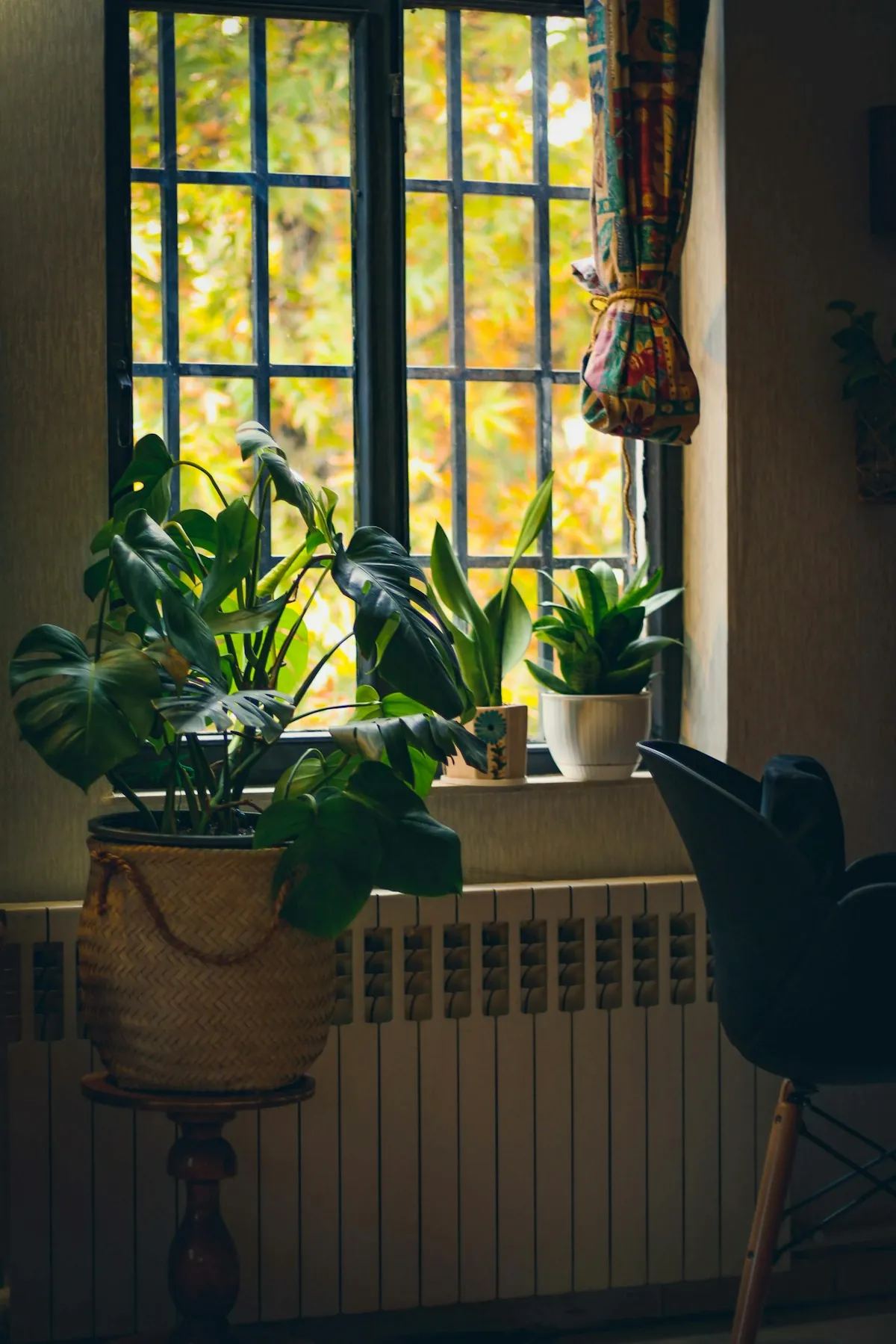 Kamerplanten voor een raam met herfstkleuren buiten