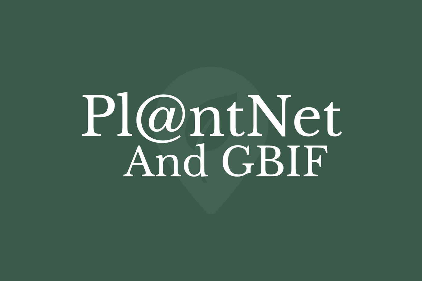 Pl@ntNet & GBIF