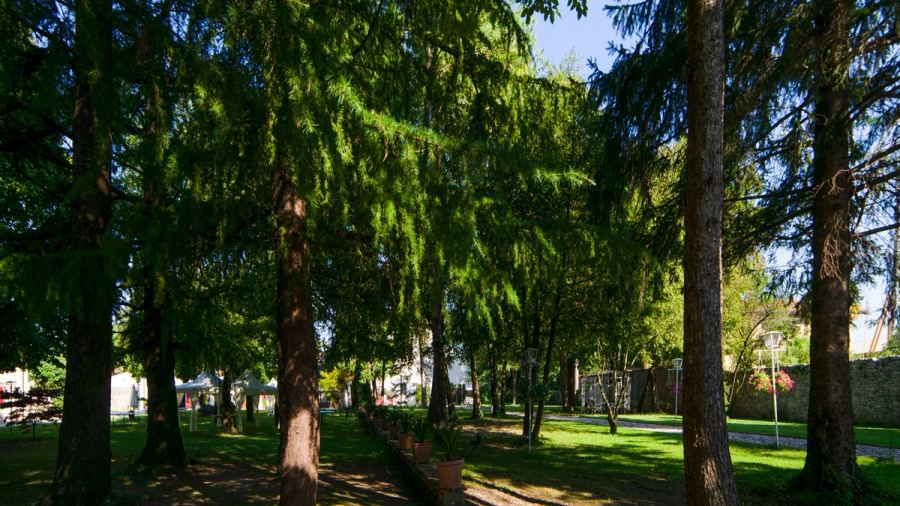 The centuries-old park at Villa Cigolotti