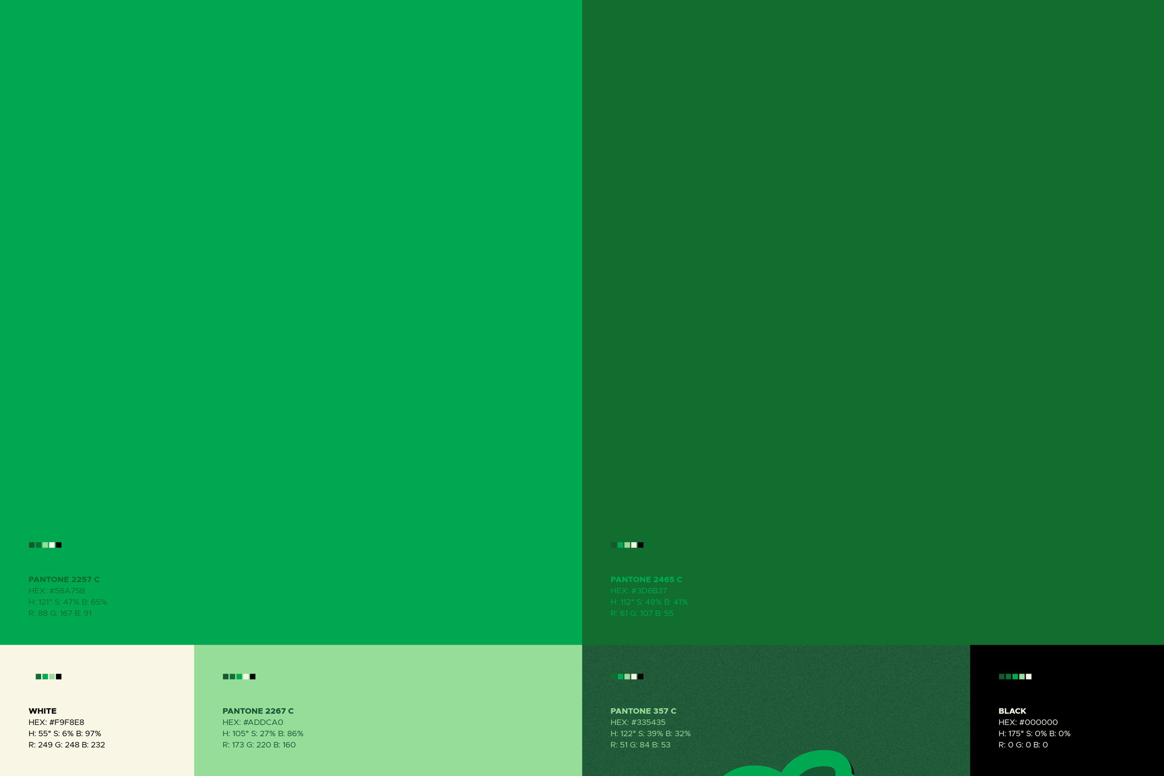 AOOS visual identity — Made to be HERD | BoldCrest
