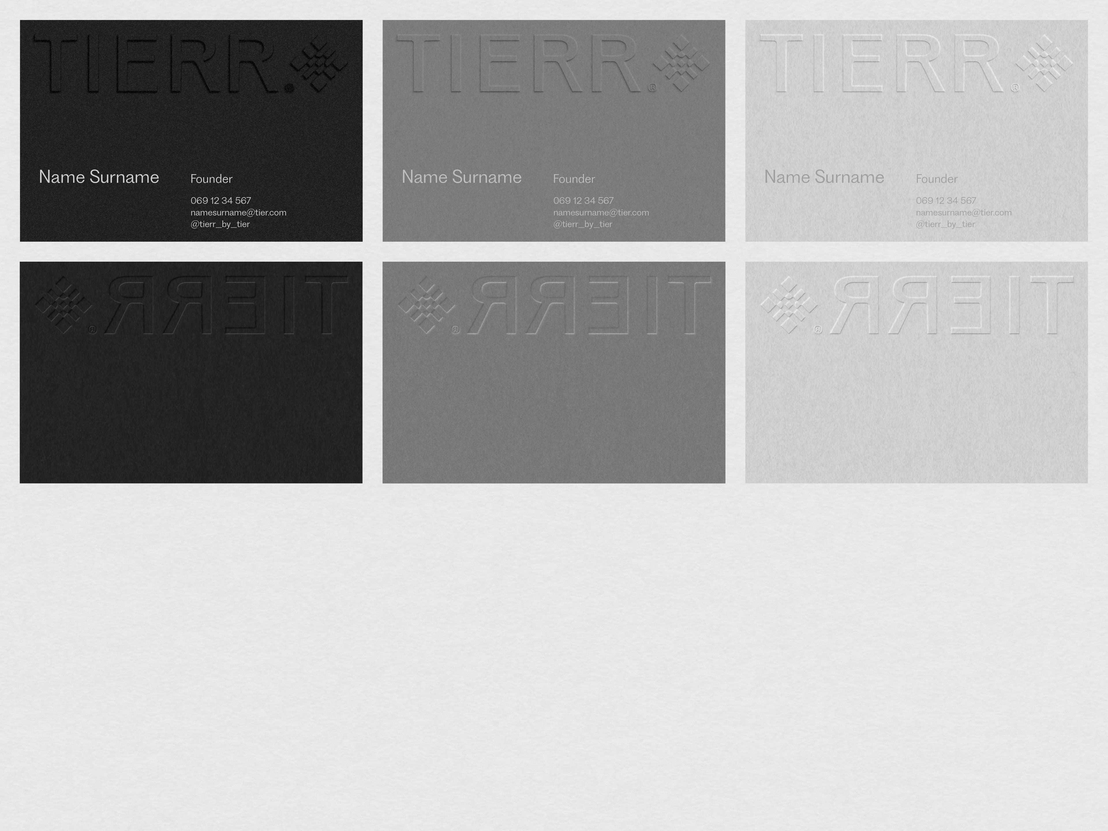 Tierr brand guidelines — Thread of Detail | BoldCrest