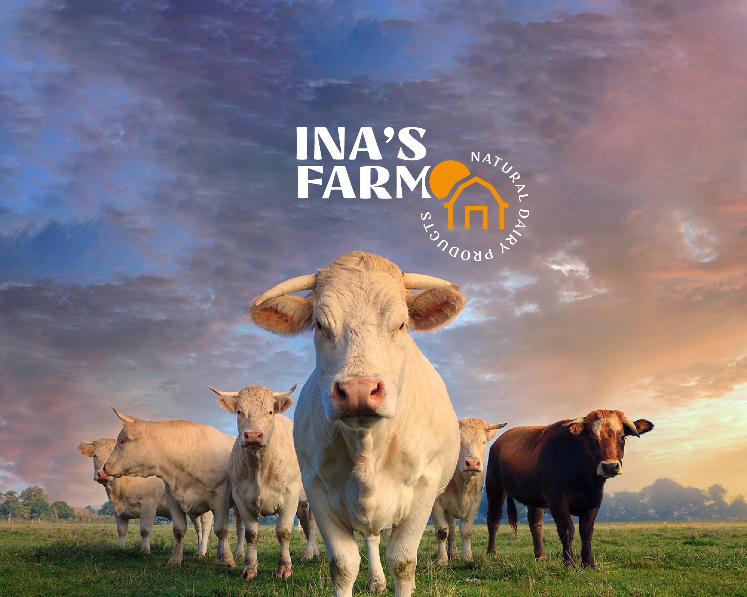 Ina's Farm | A Moo-d for Dairy