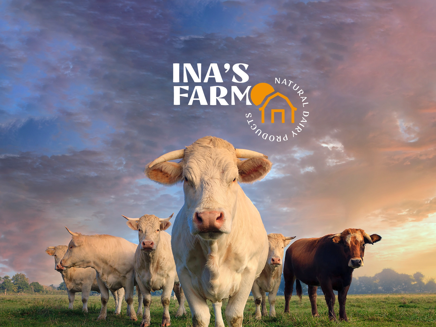 Ina's Farm | A Moo-d for Dairy