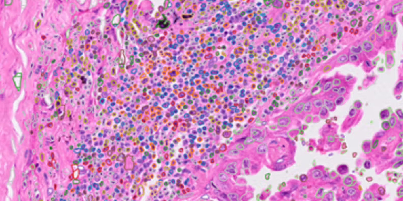 Cytoprofile