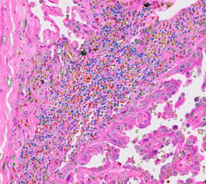 Cytoprofile