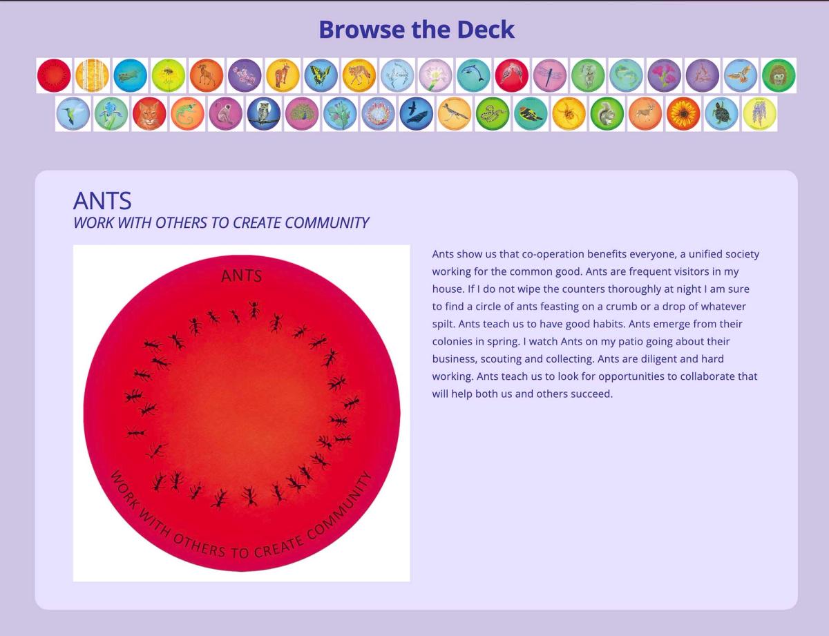 Natural Wisdom card slider