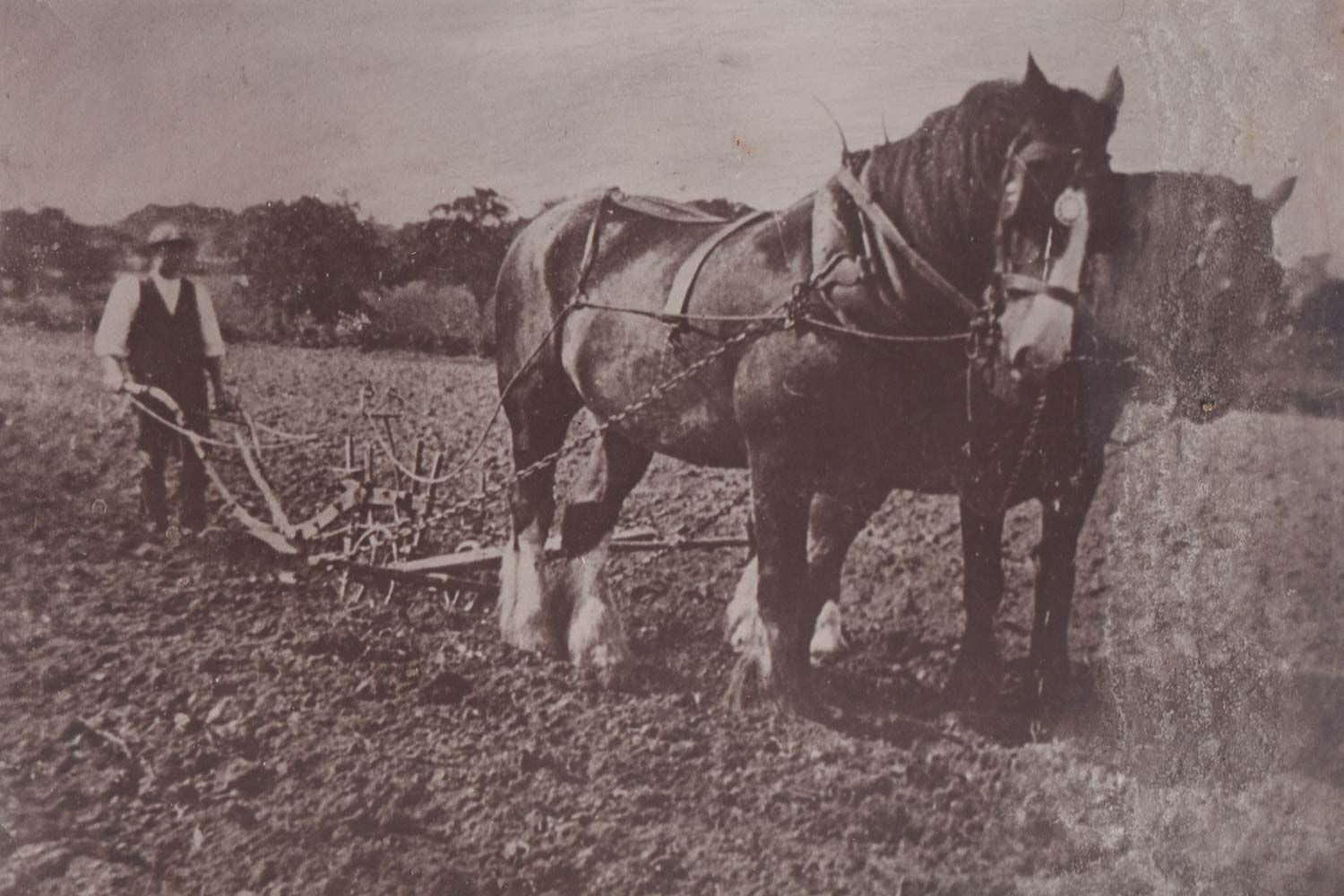 Ploughing in Bosham