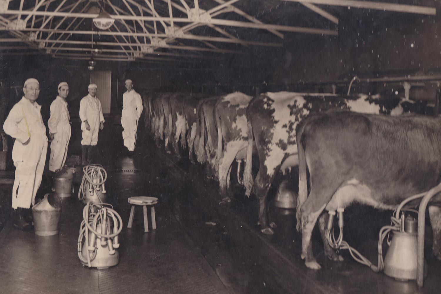 Dairymen