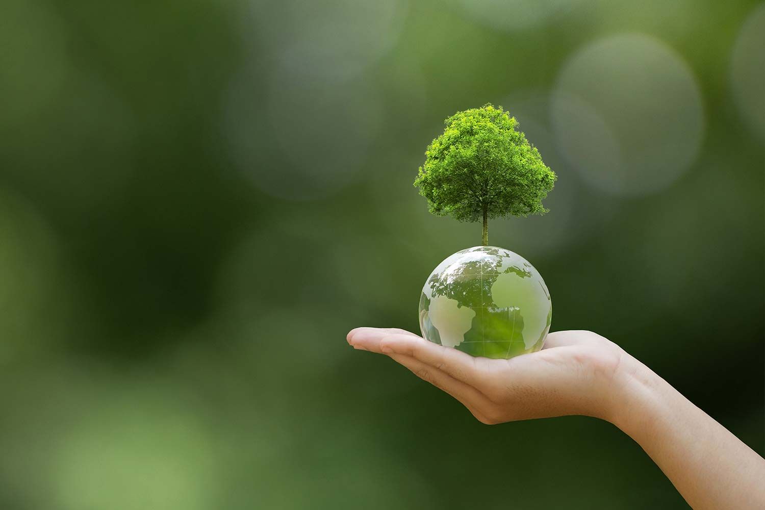 Sustainable development