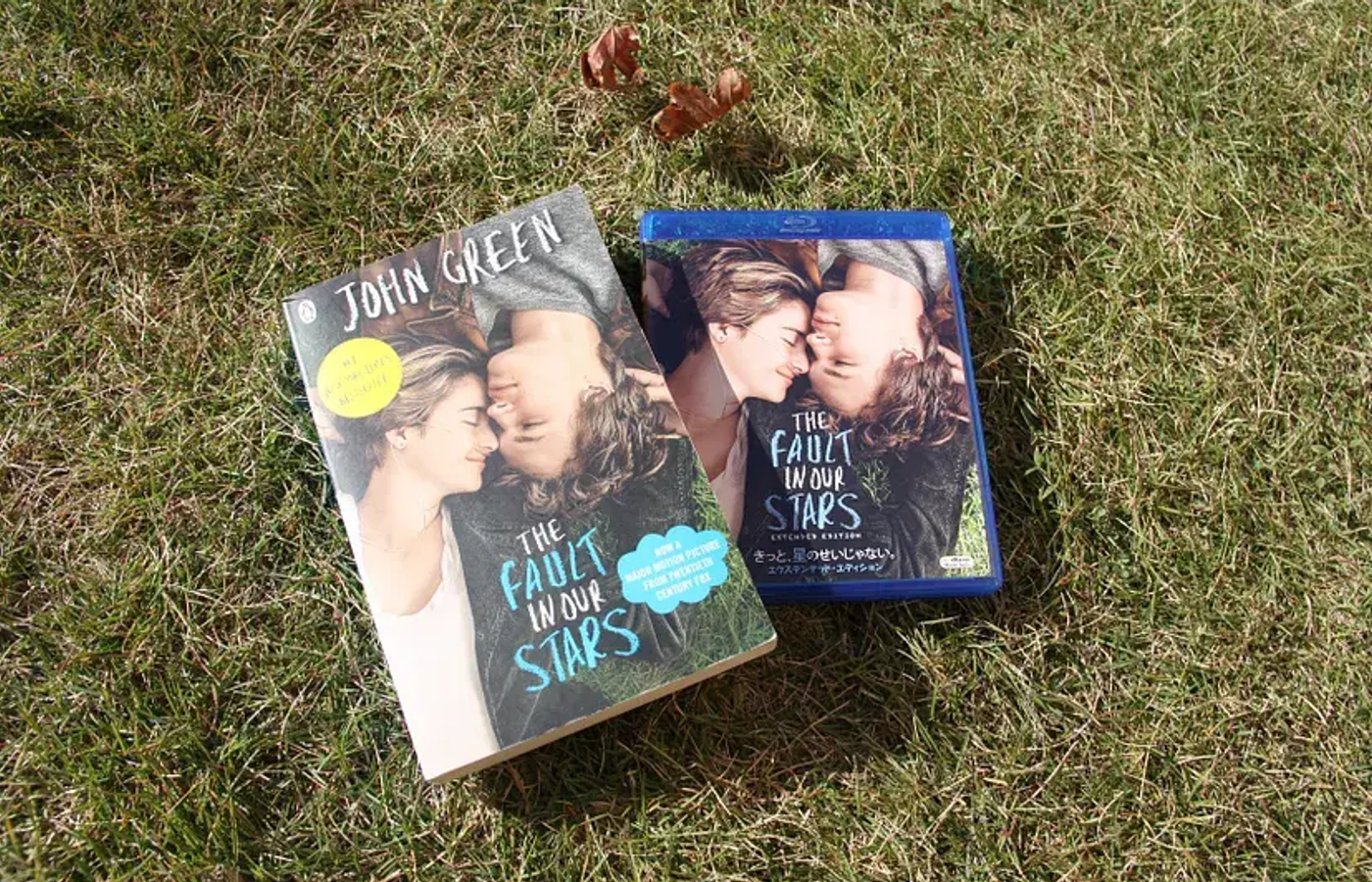 duplicate Fault In Our Stars: Book review