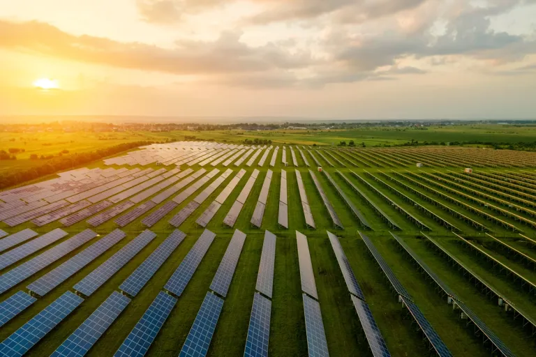 solar farm