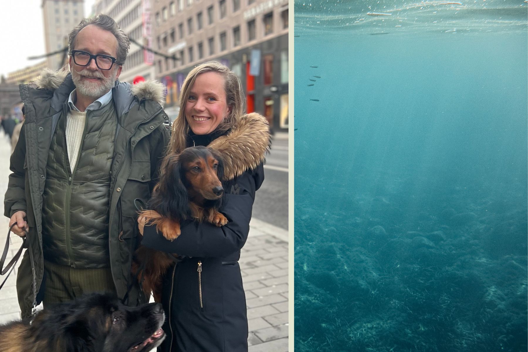 Robert Kornfeld och Maj Grove som grundat Your Devocean. Foto: Johann Bernövall / Canva.