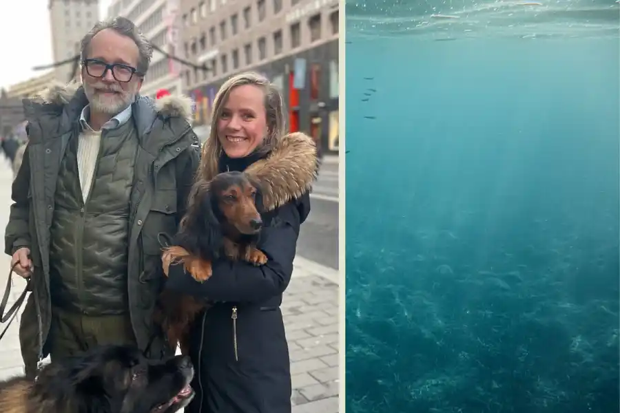 Robert Kornfeld och Maj Grove som grundat Your Devocean. Foto: Johann Bernövall / Canva.