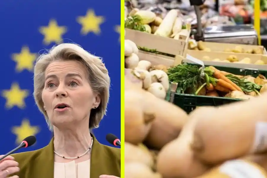 Ursula van der Leyen. Foto: TT / pressbild.