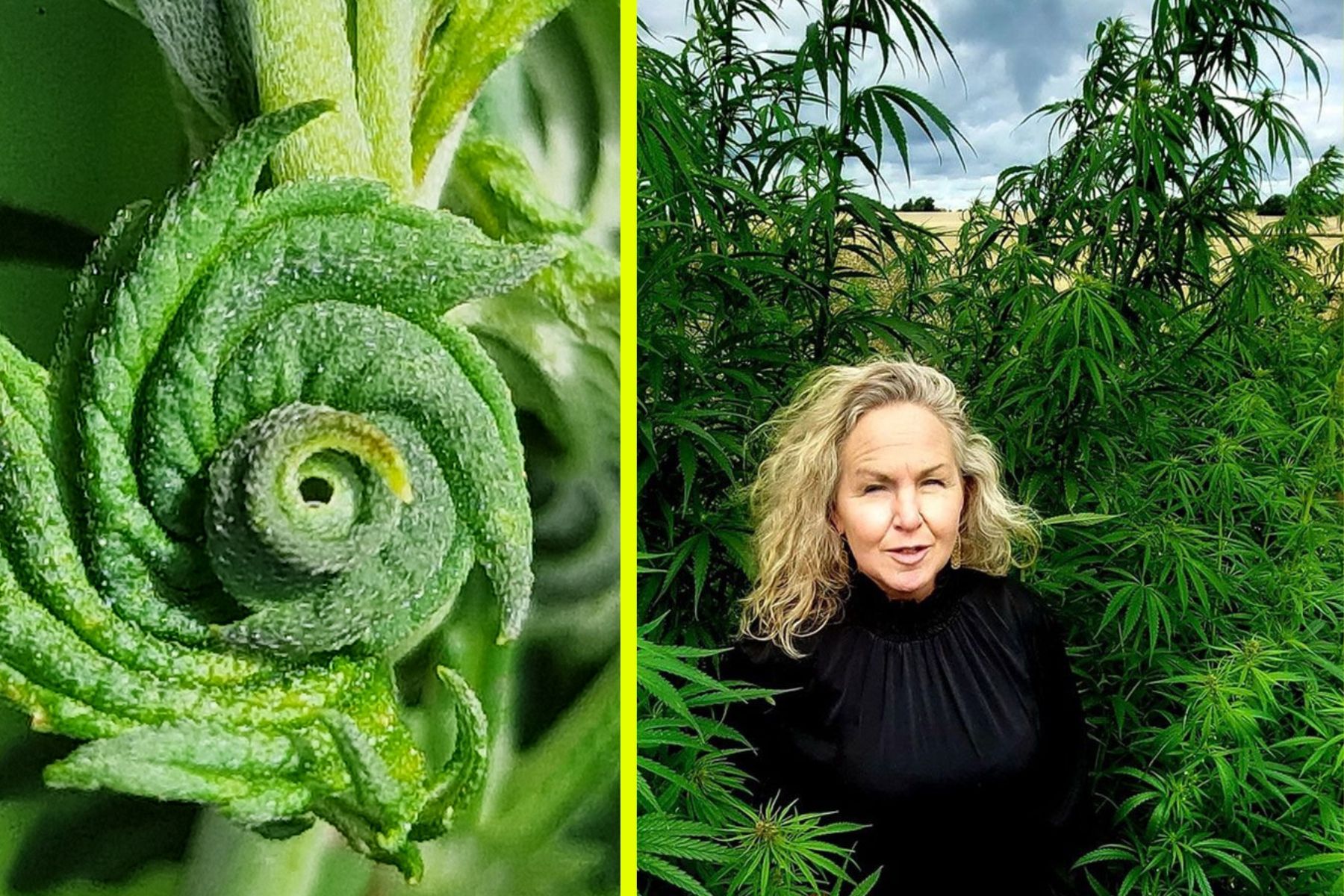 Clara Norell. Foto: pressbilder.