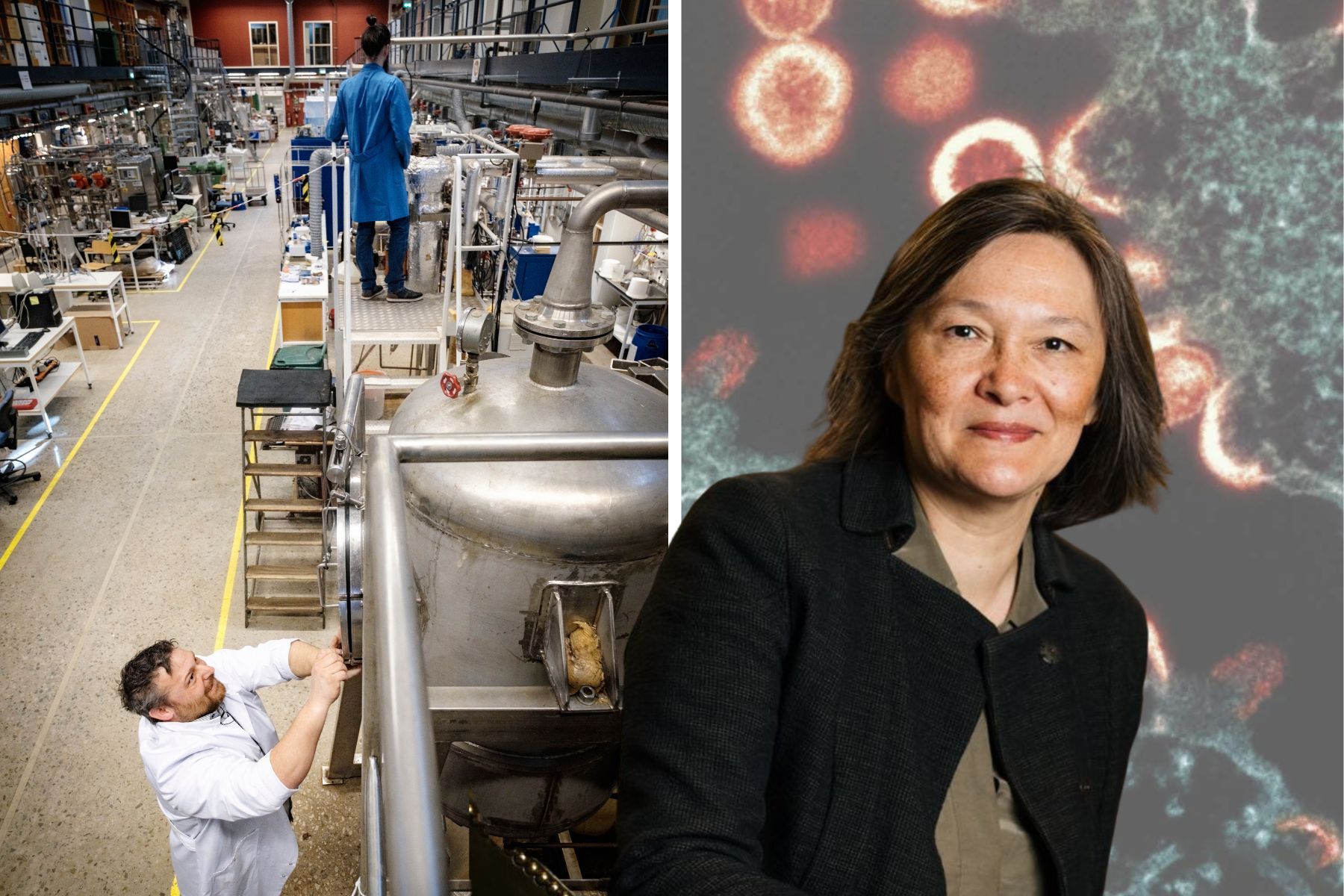 Sylvia Schwaag Serger, vd för IVA. Pressbilder (montage).