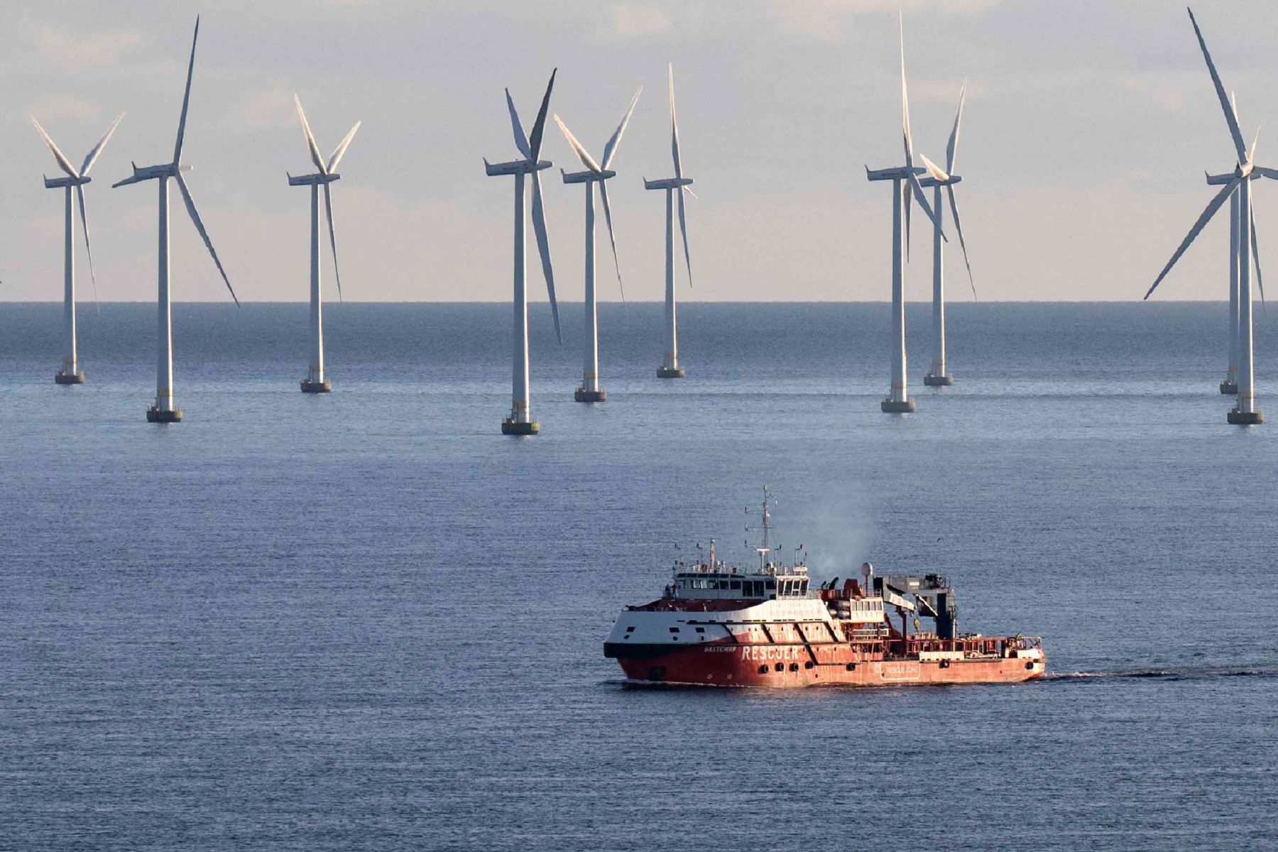 Många tror på en ökning av havsbaserad vindkraft. Foto: TT.