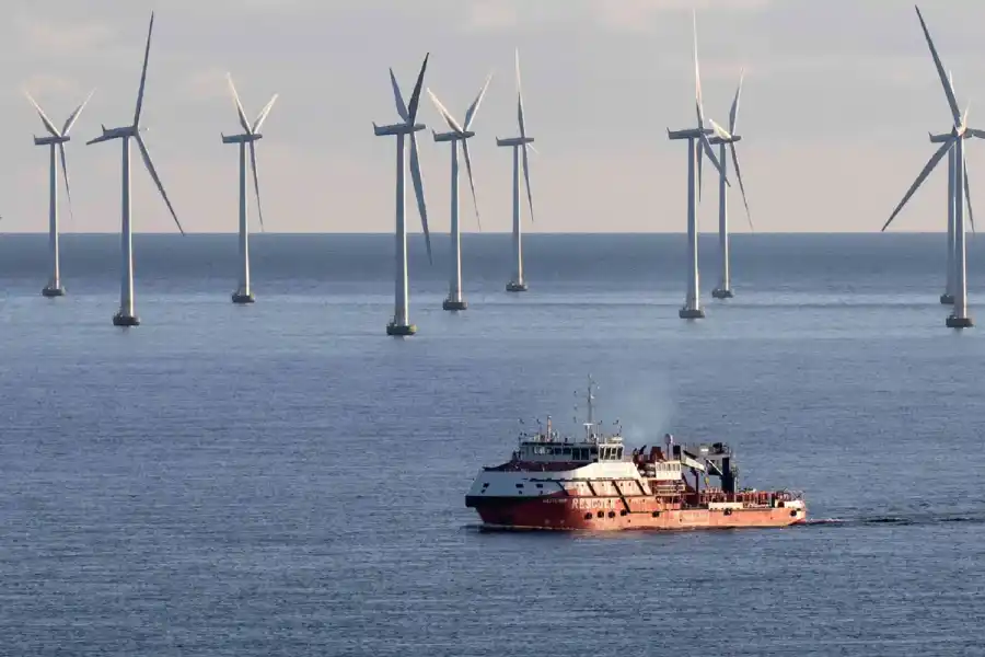 Många tror på en ökning av havsbaserad vindkraft. Foto: TT.