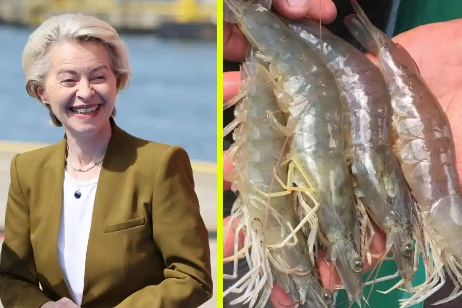 EU-toppen Ursula von der Leyen och räkor i Umeå. Foto: TT / Pressbild.