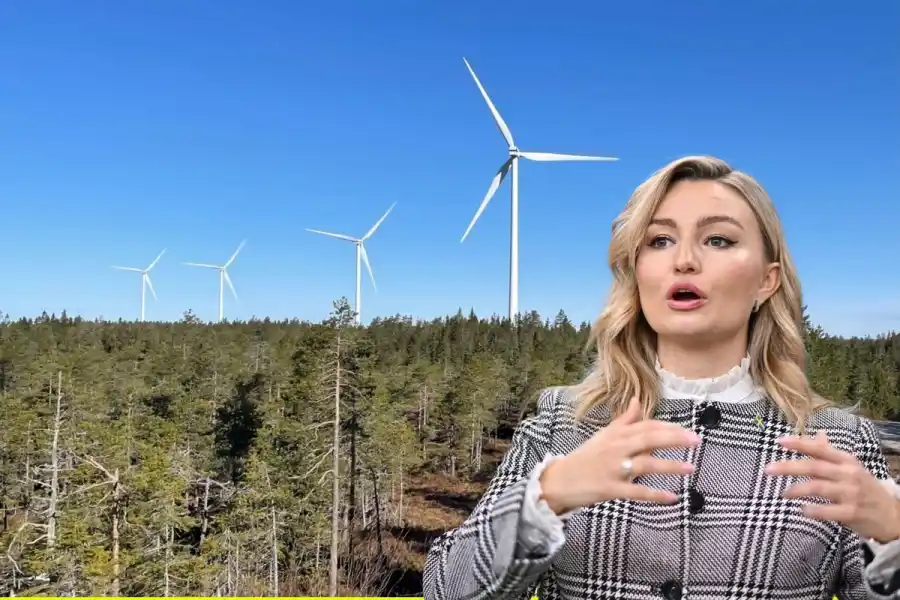 Energiminster Ebba Busch (KD) och regeringen har gett Energimyndigheten i uppdrag att dela ut vindkraftsstöd. Foto: Canva / TT (montage).