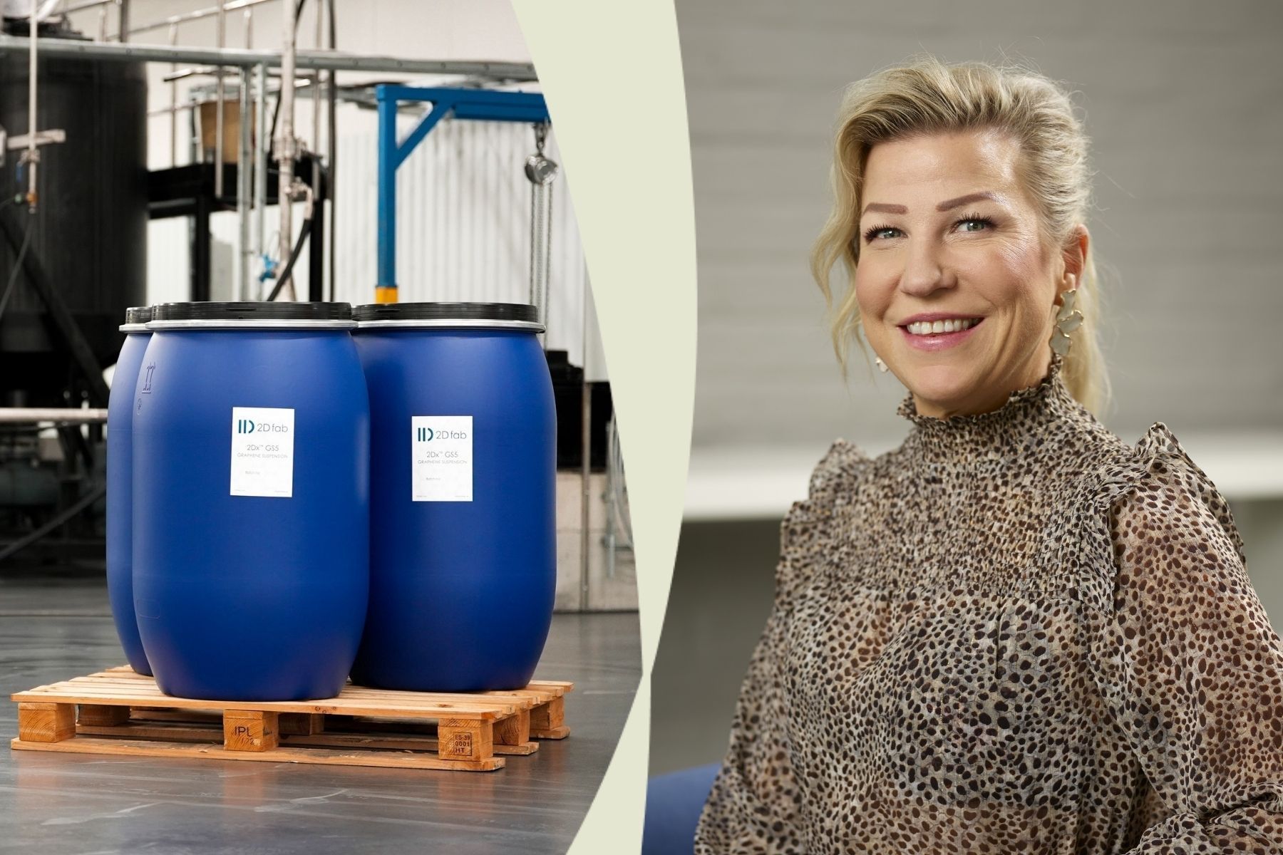 Helena Henke, vd 2D fab