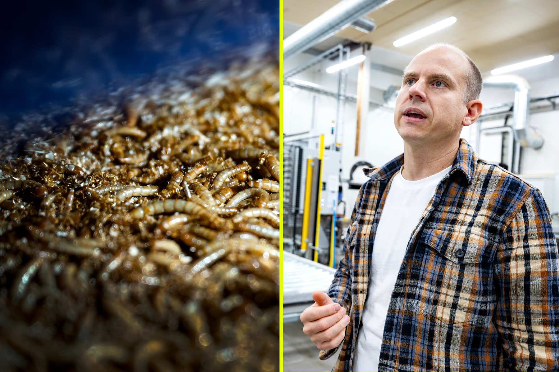 Nils Österström, grundare av Tebrito. Foto: TT.