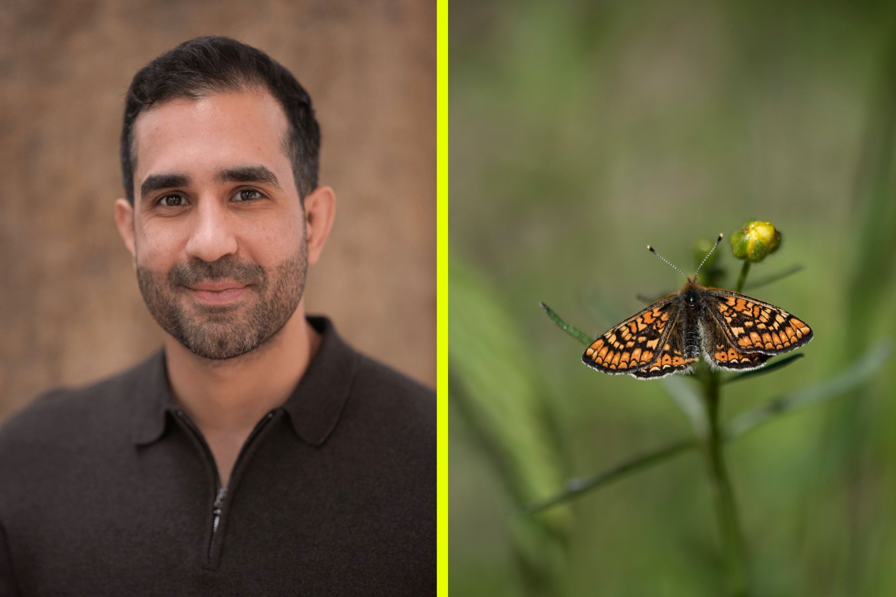 Adam Aljaraidah, Treebula. Foto: pressbilder.