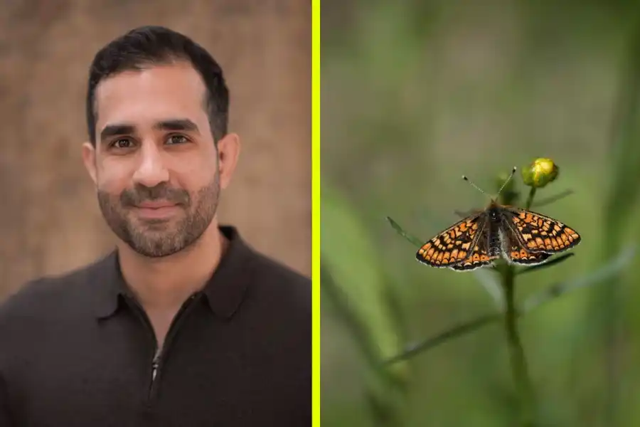 Adam Aljaraidah, Treebula. Foto: pressbilder.