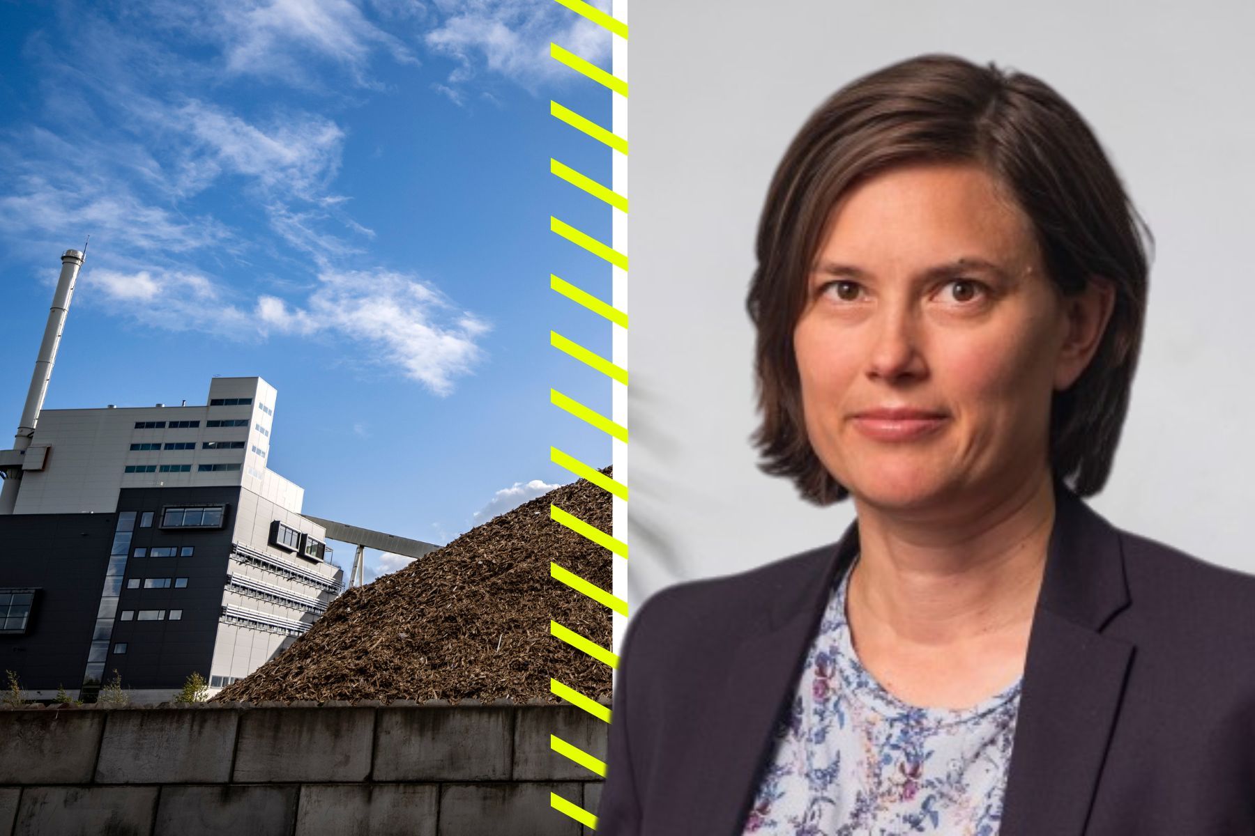Klara Helstad på Energimyndigheten. Foto: Pressbild/TT.